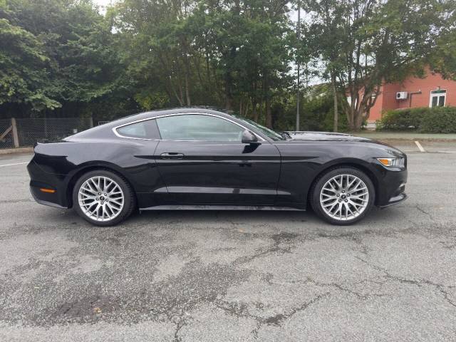 2015 Ford Mustang 2.3T EcoBoost Fastback 2dr Petrol Manual Euro 6 (317 ps)